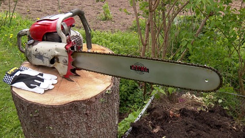 Stihl-Säge Contra