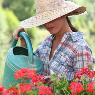 Frau gießt Geranien in Balkonkasten - Dünger lässt sich leicht selbst herstellen