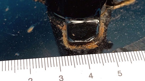 MC checkt Weber Grills