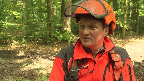 Markus Wick, Forstwirtschaftsmeister