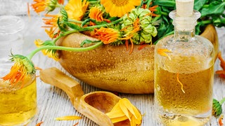 Ringelblumen in einer Schale, eine Karaffe Öl daneben: Ringelblumen-Öl ist die Basis für die altbewährte Ringelblumensalbe - lateinisch: Calendula.