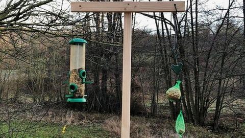 Ein Futterspender und ein Meisenknödel hängen in einem Garten.