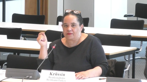 Dominique Krössin, Bezirksstadträtin Pankow