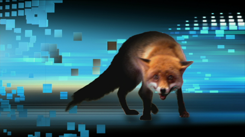 Fuchs 2006 