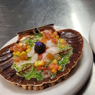 Das Jakobsmuschelceviche aus der Treffpunkt Sendung