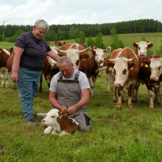 Erika und Gerhard Obergfell mit ihren Kühen