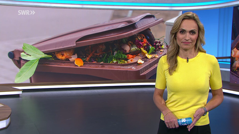 Moderatorin Britta Krane