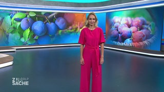 Moderatorin Britta Krane