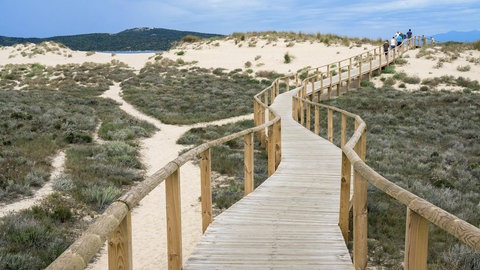 Holzsteg durch Sanddünen, Zugang zum Strand Spiaggia del Liscia auf Sardinien
