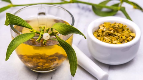 Laut S3-Leitlinie zur Komplementärmedizin bei Krebstherapien eignet sich eine Misteltherapie nicht für jede Krebsart