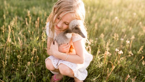 Kind mit Babyente: Besonders kleine Kinder reagieren stark auf Tiere 